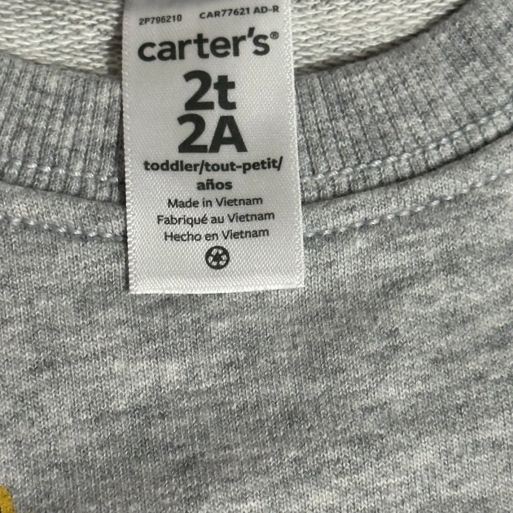 Carter boys to tea two piece, jogging set, long sleeves, gray, and green‎